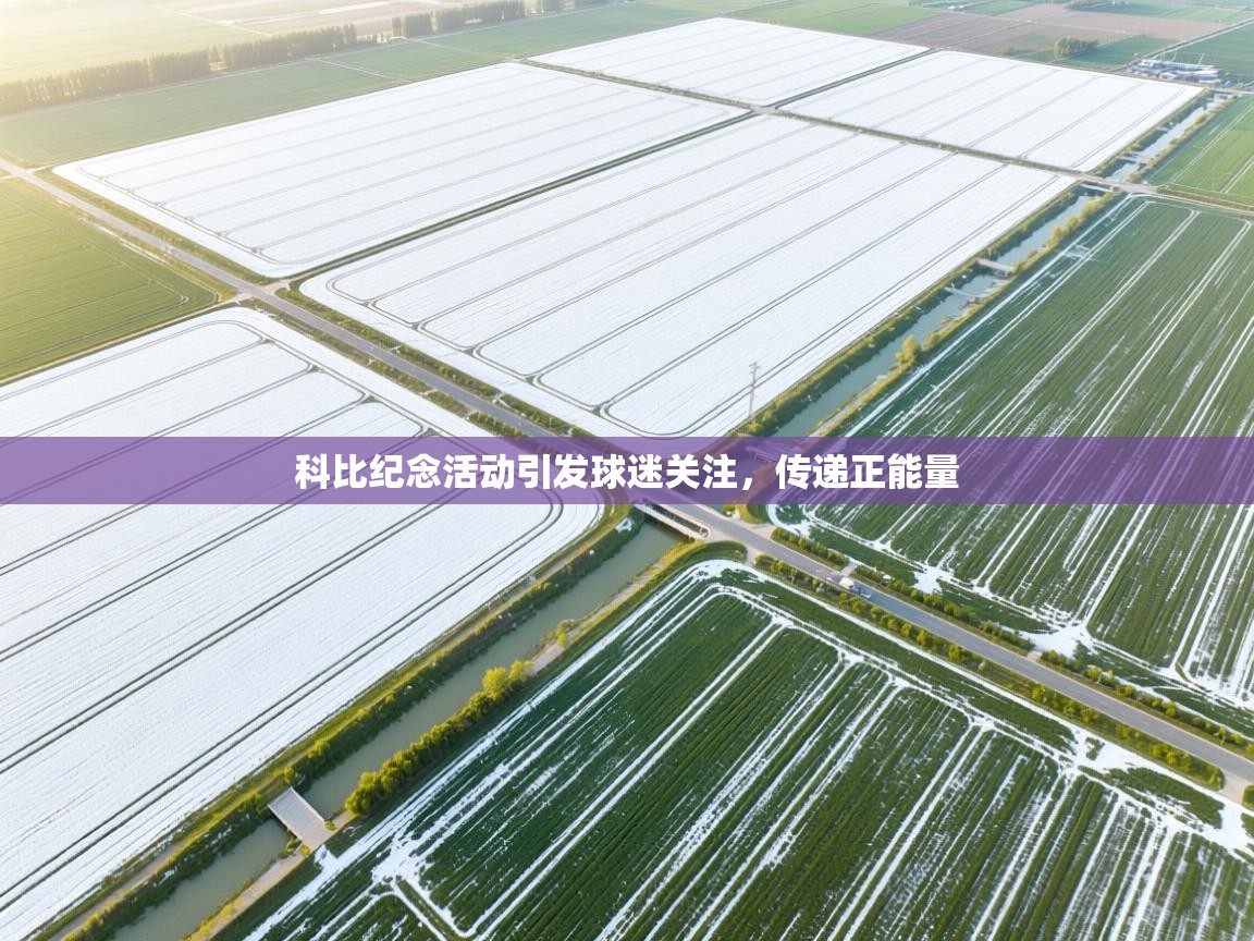 科比纪念活动引发球迷关注，传递正能量  第2张