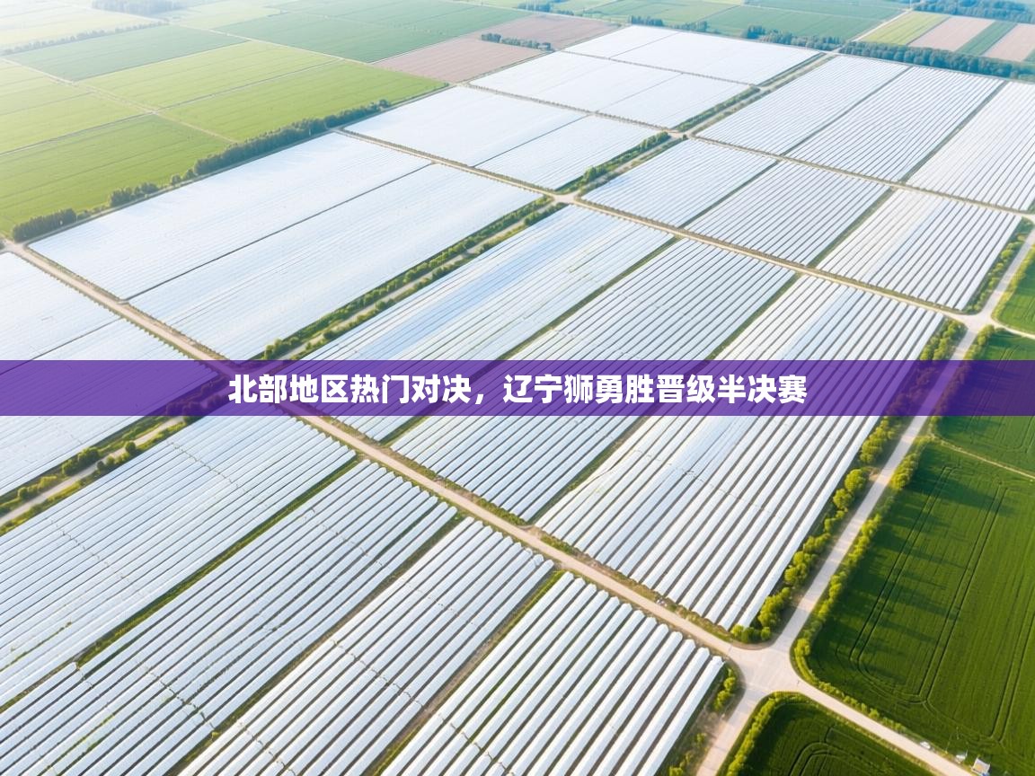 北部地区热门对决，辽宁狮勇胜晋级半决赛