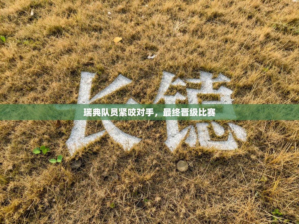 瑞典队员紧咬对手，最终晋级比赛  第2张